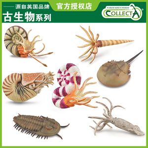 英国CollectA我你他史前远古生物海洋昆虫仿真动物模型摆件合集