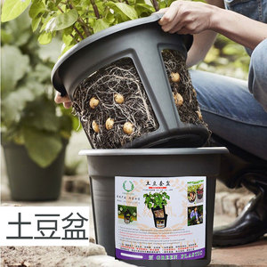 土豆种植盆生姜蔬菜种植塑料花盆盆栽家庭阳台庭院种植加厚优质