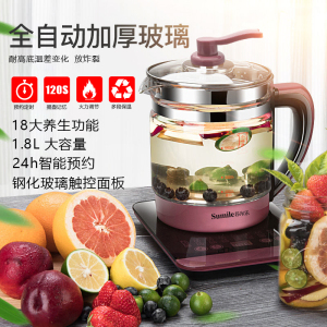 养生茶壶玻璃全自动多功能家用1.8L迷你黑茶煮茶器熬中药壶泡茶壶