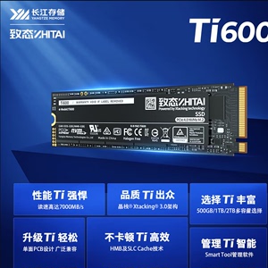 致态 长江存储4T TI600 PCIE4.0 NVMe M.2 4TSSD固态硬盘