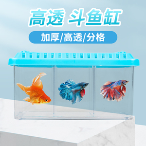 泰国三格斗鱼盒透明亚克力手提式小型桌面鱼缸观赏鱼隔离盒繁殖缸
