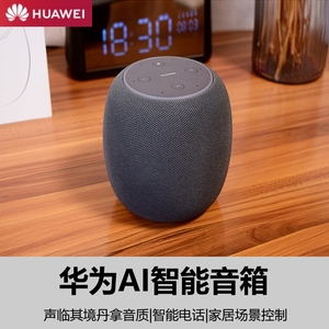 Huawei/华为 Myna AI音箱小艺智能丹拿声控语音助手无线蓝牙音响