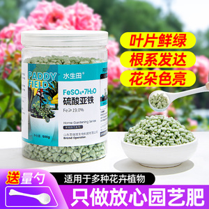 硫酸亚铁花肥料家用盆栽酸性土壤改良绿萝发财树栀子茉莉花专用肥