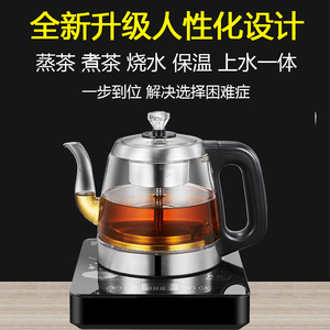 小型手把上水煮茶壶黑茶壶煮茶器家用全自动蒸汽喷淋式玻璃养生壶