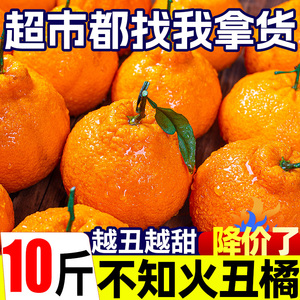 四川不知火丑橘10斤新鲜水果时令应当季桔子耙耙丑柑橘子整箱包邮