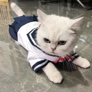 猫衣服连身裙猫咪狗狗可爱衬衫裙子薄款宠物JK制服裙水手服狗衣服