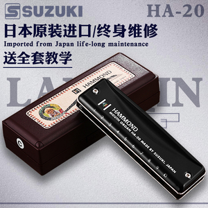 SUZUKI日本铃木HA-20全金属口琴 铃木10孔专业布鲁斯蓝调十孔口琴