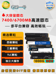 NVME-M.2接口1000G\2000G固态硬盘