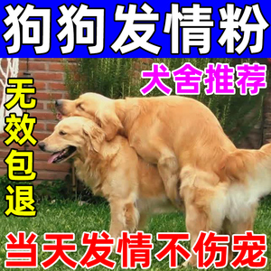 母狗发情剂狗狗配种药粉狗用发情促情生育交配宠物狗狗避孕药