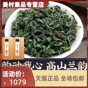 王氏雄风2023新茶叶特级安溪铁观音清香型乌龙茶浓香型礼盒装500g