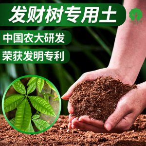 漫生活发财树专用营养土养花通用型花土盆栽土壤种植土营养液肥料