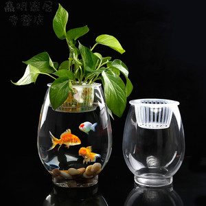 铜钱富贵缸植物萝红器皿水培透明恐龙蛋花瓶养鱼掌竹水草绿玻 阿里巴巴找货神器