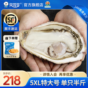 贝司令乳山生蚝鲜活10斤特大5XL海鲜水产新鲜海蛎子蒜蓉牡蛎批发