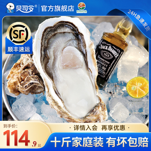 贝司令乳山生蚝鲜活特大10斤牡蛎活鲜海蛎子带箱新鲜海鲜水产批发