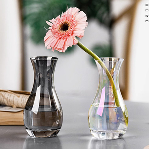 北欧风简约玻璃花瓶网红迷你精致水培鲜花绿植插花瓶桌面客厅摆件