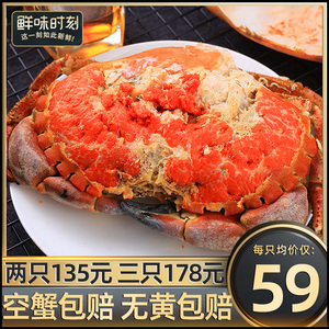 面包蟹鲜活熟冻新鲜海鲜水产特大海螃蟹超大黄金蟹梭子蟹加热即食