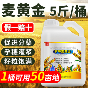 亨坤麦黄金小麦高产专用叶面肥水溶肥分蘖宝增产套餐膨大分蘖素