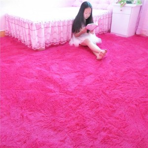 房间地板毛毯加厚ins地毯客厅茶几卧室少女满铺可爱网红床边地毯