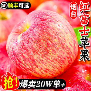 山东烟台红富士苹果新鲜应当季水果整箱脆甜冰糖心丑苹果嘎啦10斤