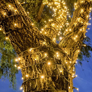 LED小彩灯闪灯串灯满天星户外防水缠绕树灯亮化布置装饰星星灯串