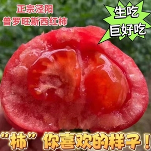 正宗泾阳普罗旺斯西红柿自然熟生吃新鲜草莓心沙瓤番茄当季蔬菜
