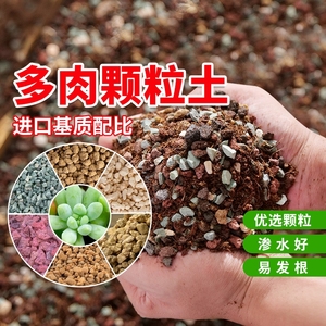 多肉颗粒土植物进口泥炭种植花土铺面石叶插纯颗粒专用营养土包邮