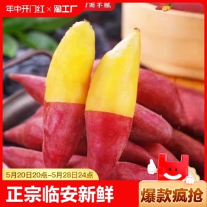 正宗临安天目山小香薯1/3/5斤新鲜板栗红薯沙地农家番薯蜜薯地瓜