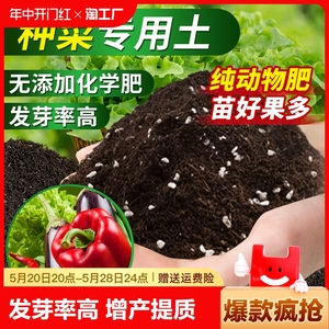 营养土种菜专用土壤种植土蔬菜阳台种菜椰砖黑肥料果蔬有机泥土