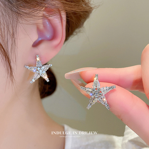 星星水晶耳钉女轻奢高级感独特耳环2023新款小众设计感气质耳饰