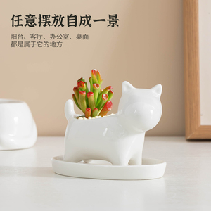 可爱小白猫多肉花盆桌面创意盆栽带托陶瓷白瓷肉肉办公室迷你摆件