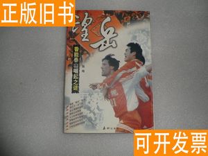 望岳 鲁能泰山崛起之谜 刘玮著 刘玮