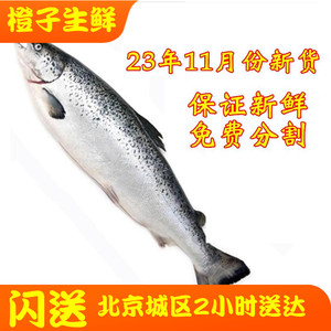 10-18斤/条智利进口冷冻新鲜三文鱼整条三文鱼刺身寿司生鱼片新货