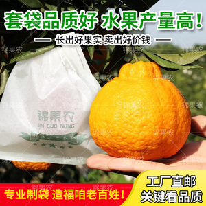柑橘套袋专用袋桔子红美人橙子袋沃柑不知火春见丑橘爱媛脐橙纸袋