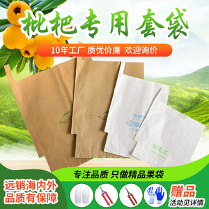 双层枇杷果袋套防晒防鸟袋白色透光水果套袋专用纸袋套树上的袋子
