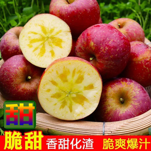 2023云南昭通冰糖苹果新鲜水果脆甜冰糖心现摘丑当季苹果当季特大