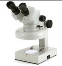 进口纸箱光学 变焦体视显微镜DSZ-44T15