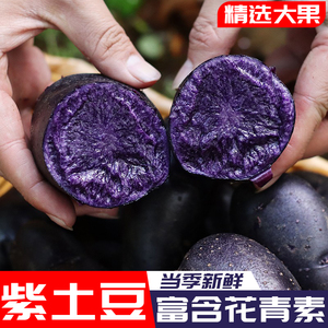 新鲜紫土豆大果黑色马铃薯5黑金刚黑美人农家蔬菜黑洋芋10斤包邮