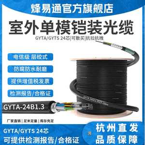 24芯室外单模光缆 GYTA/GYTS层绞式24芯铠装室外单模光纤 24芯室外光缆 电信级 24芯万兆光缆