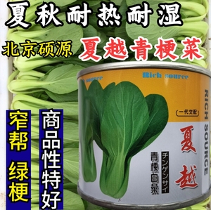 夏越青梗菜种子 北京硕源耐热耐湿绿梗窄帮小油菜种子上海青菜籽