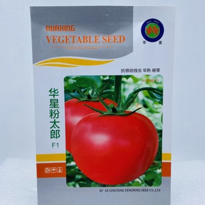 华星粉太郎番茄种子无限生长型粉红大果抗根线虫早熟无绿肩耐贮运
