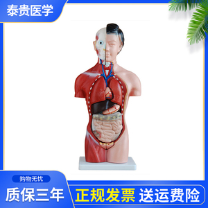 女器官 女器官品牌 价格 阿里巴巴 女器官 女器官品牌 价格 阿里巴巴