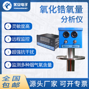 氧化锆分析仪锅炉烟囱管道氧气含量检测探头耐高温直插防爆一体式