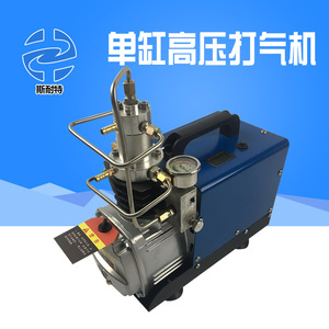 销售单缸打气机30MPA 微型高压充气泵30MPA电动高压气泵 单缸水冷