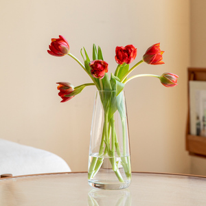 花瓶摆件客厅插花透明玻璃网红花器鲜花玫瑰水养水培绿植高级感小