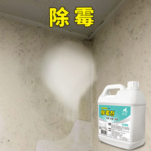 白墙体除霉剂家用墙壁纸清除墙面霉菌防发霉去霉斑修复神器防霉剂