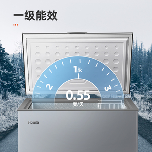 奥马251升大容量冰柜家商两用卧式冷柜小型保鲜冷冻节能冰箱囤货