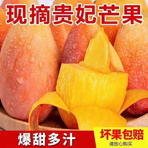 现摘】正宗海南贵妃芒应当季新鲜热带水果树上熟大芒果甜整箱10斤