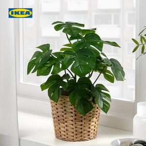 IKEA宜家FEJKA菲卡人造盆栽植物龟背竹室内装饰绿植现代简约