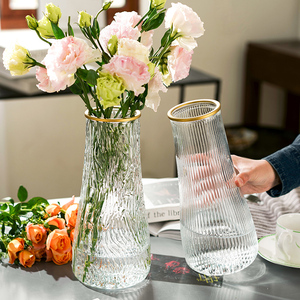 特大号玻璃花瓶桌面插花水养鲜花富贵竹高花瓶ins风客厅装饰摆件