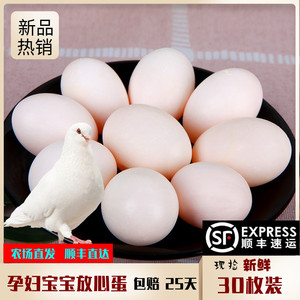 顺丰包邮新鲜鸽子蛋30枚正宗农家杂粮喂养土鸽蛋精品白鸽子蛋辅食